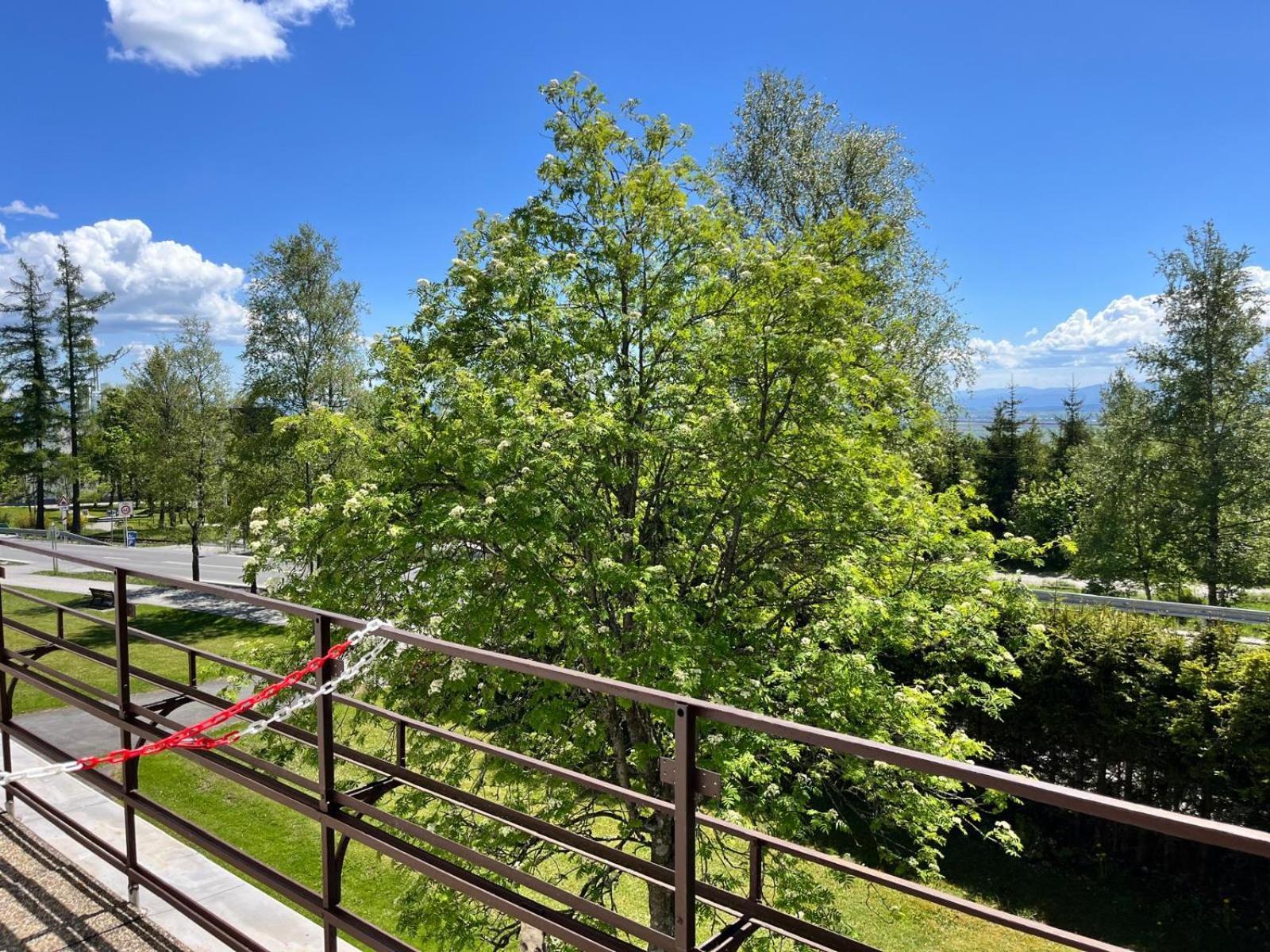 Penzion Villa Gerlach Vysoké Tatry Extérieur photo
